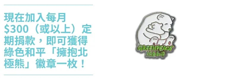 現在加入每月 $300(或以上)定期捐款,即可獲得綠色和平「擁抱北極熊」徽章一枚!
