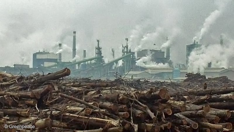 tw-forest03-problem2-GP03PU8