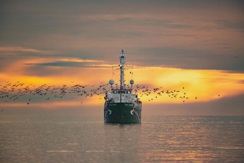 tw-general-dollar3-GP1SXDIM