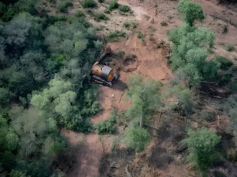 Deforestation for Farming and Agriculture