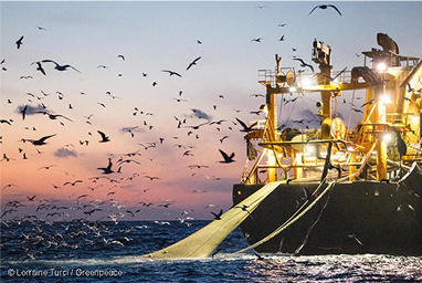 GP0STRILZ_Low res with credit line (800px)_3