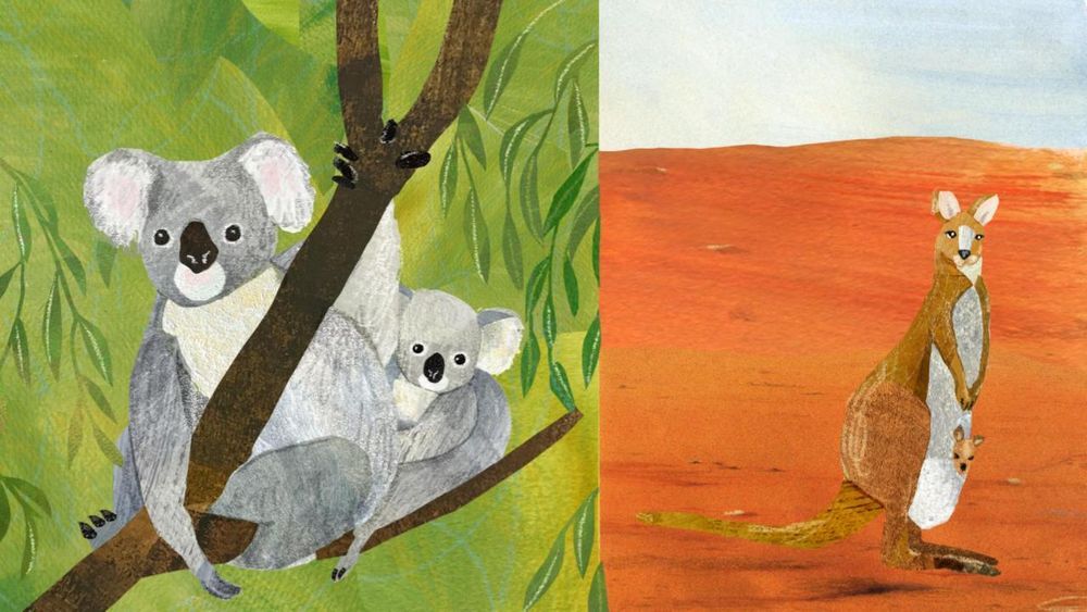 tw-handbook-animal_trivia-animal1-large__c56af540e8