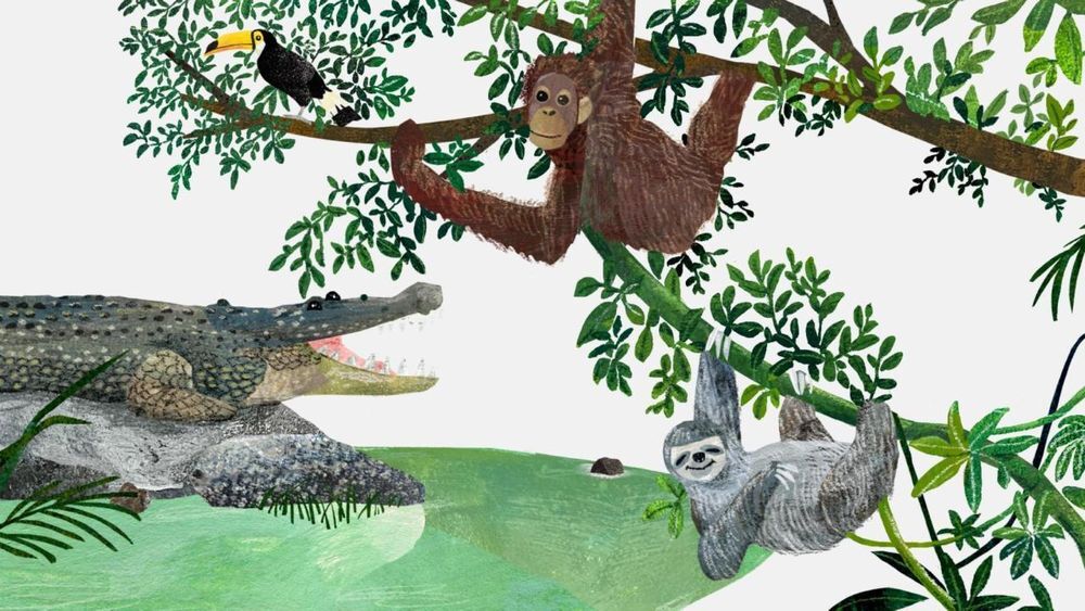 tw-handbook-animal_trivia-animal2-large__95da8c1155